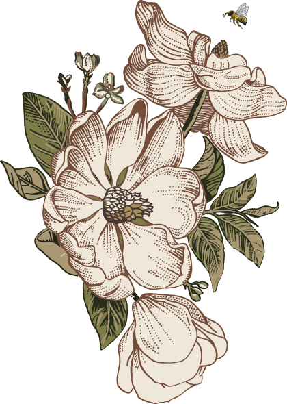 floating_image_11 https://mieldedonana.com/wp-content/uploads/2021/02/floating_image_11.png